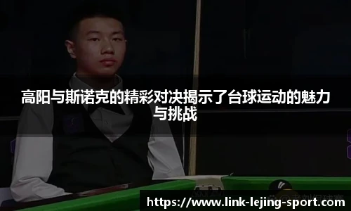 高阳与斯诺克的精彩对决揭示了台球运动的魅力与挑战