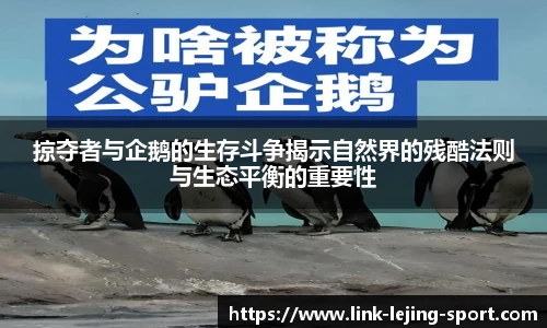 掠夺者与企鹅的生存斗争揭示自然界的残酷法则与生态平衡的重要性